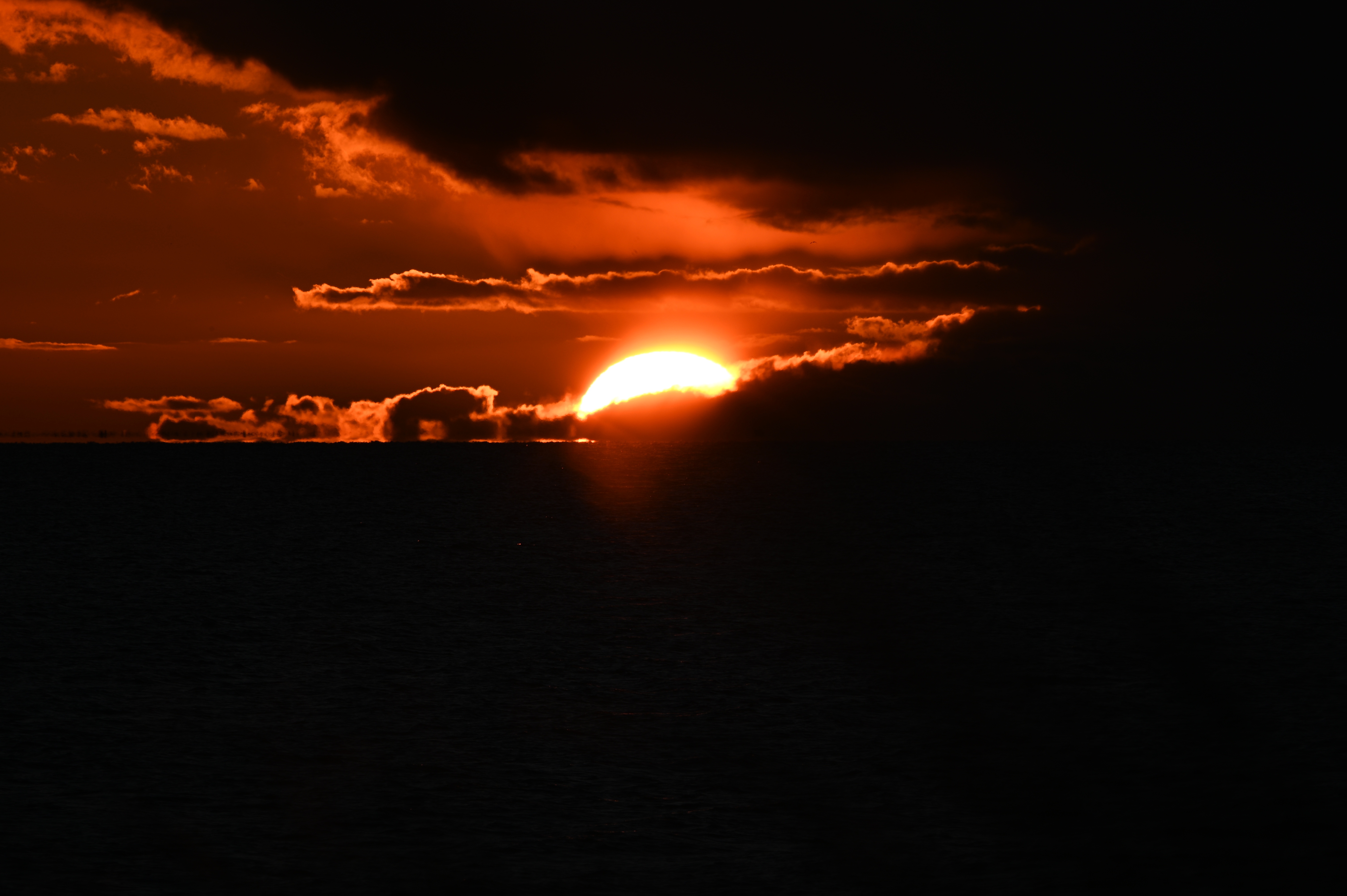 2025/10/18 - walk/DSC_0487.JPG